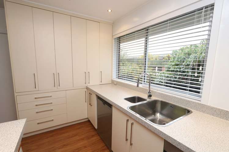 74 Harrison Street Allenton_2