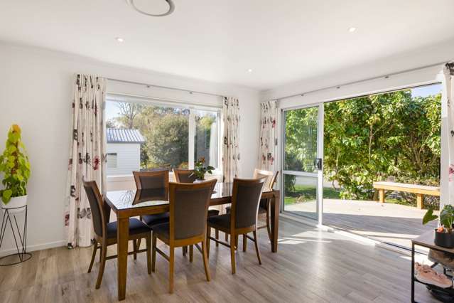 620 Mcclure Street Pirongia_3