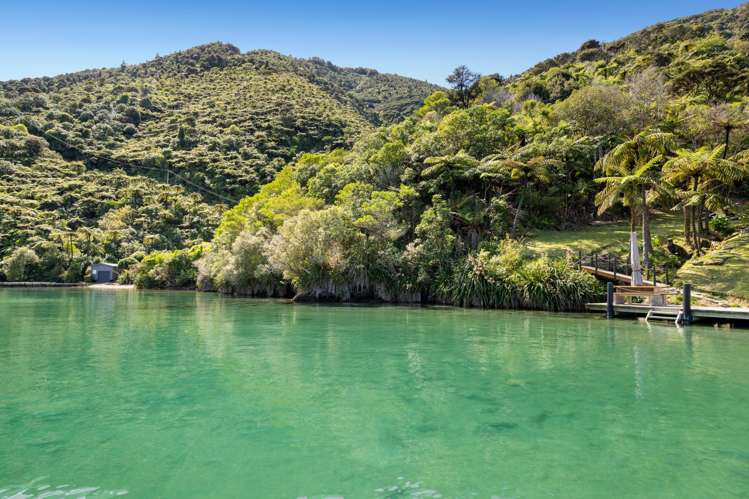 Lot 9 Blackwood Bay Queen Charlotte Sound_4