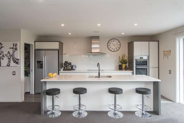 313A King Street Temuka_2