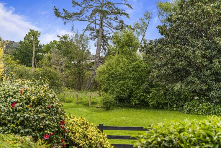 15b Pearson Street_1