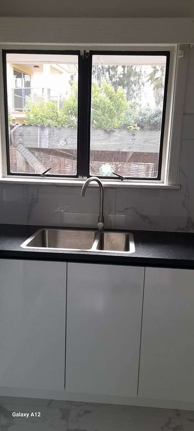 20 Boyce Avenue Mount Roskill_3