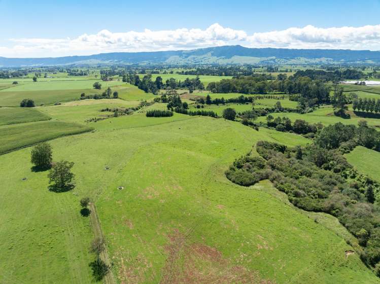 138 Taihoa South Road Matamata_27