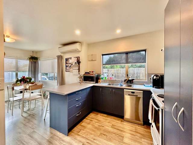 45A Bedford Road Marewa_3