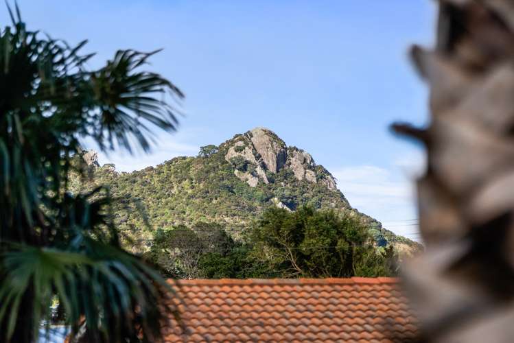 1950 Whangarei Heads Road Whangarei Heads_24