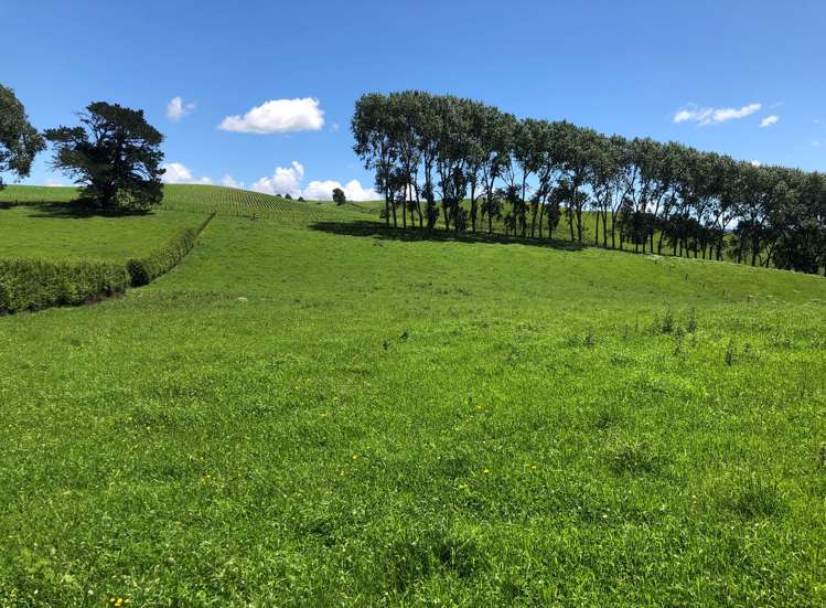 1564 State Highway 31 Kawhia Road Otorohanga_16