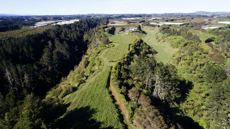 99 Homewood Drive Te Puke_1
