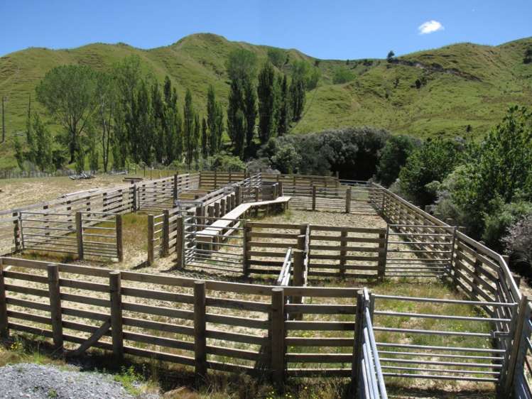 1168 Manui Road Mangaweka_12