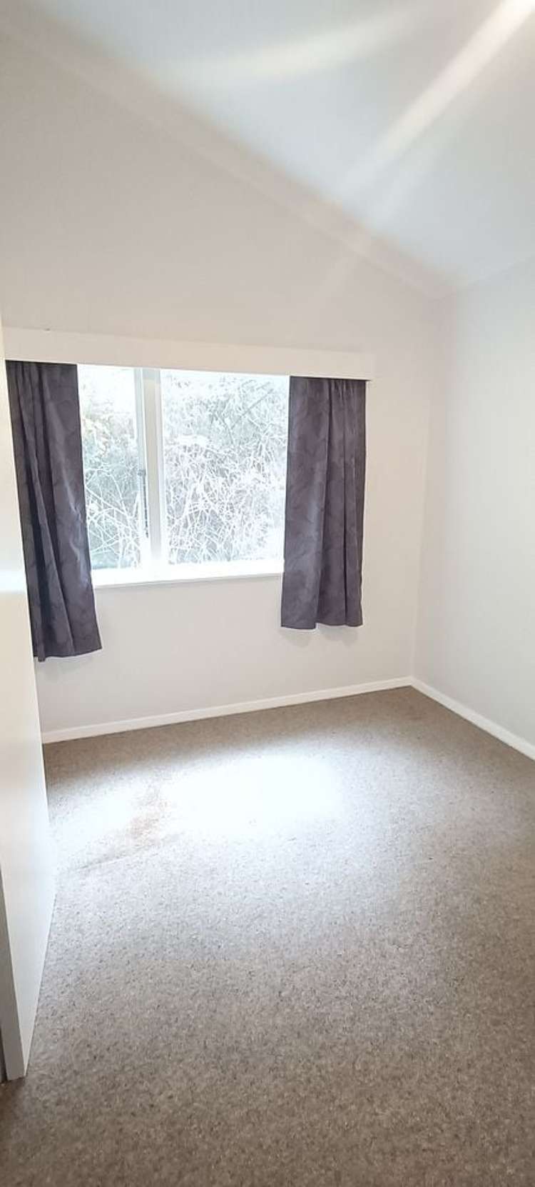 63 Middleton Road Johnsonville_11