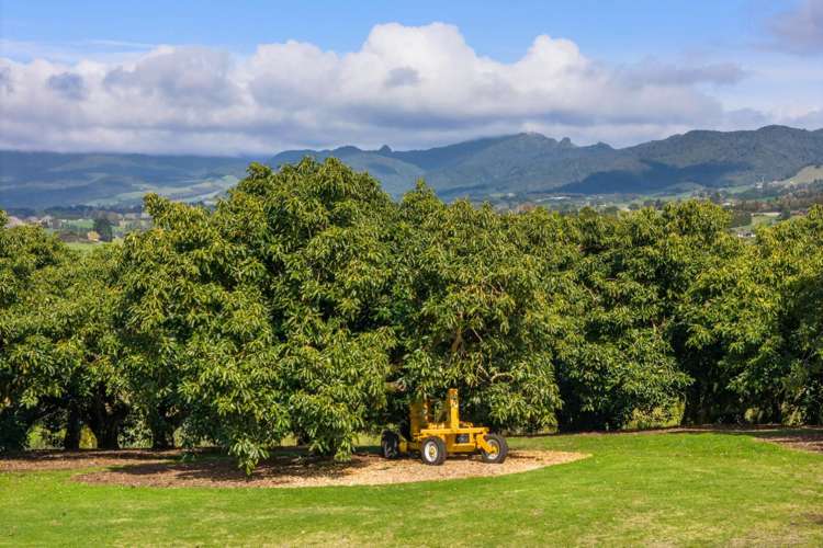 123 Woodland Road Katikati_26