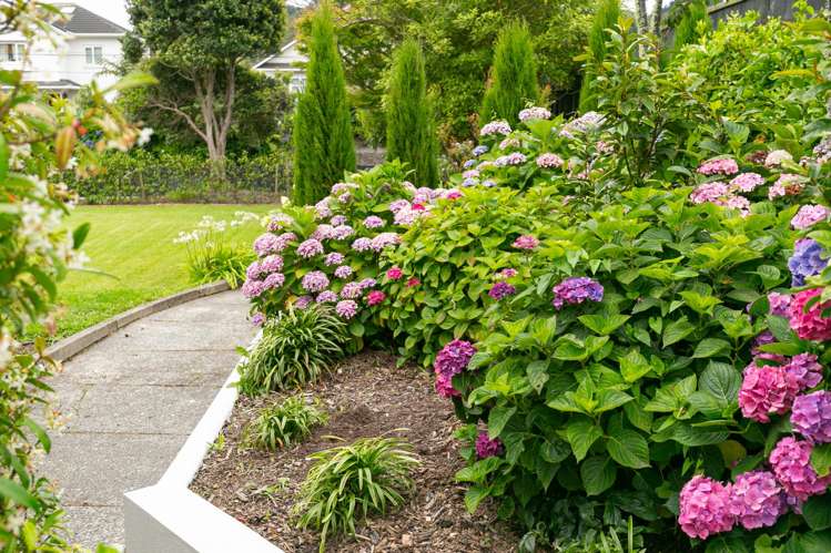 41 Everest Street Khandallah_30