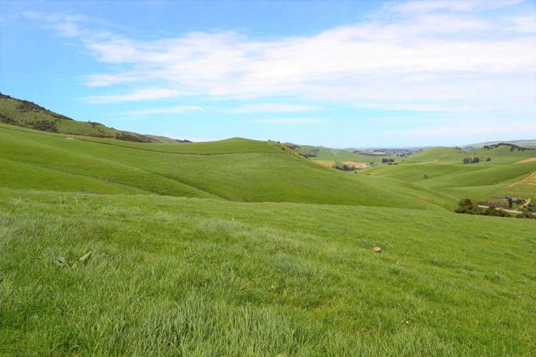 771 Hunt Road Catlins Surrounds_7