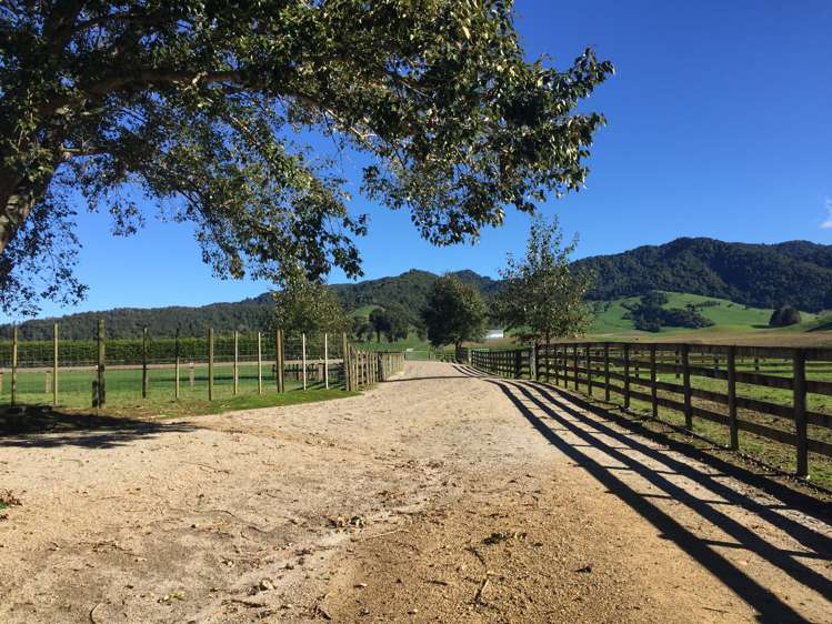 2/295 Roberts Road Cambridge_11