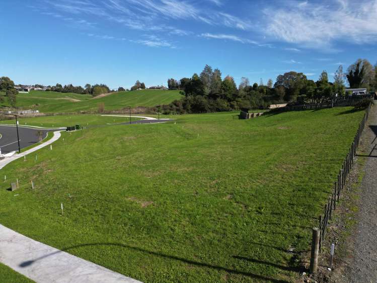 ** Ruru Downs Putaruru_9