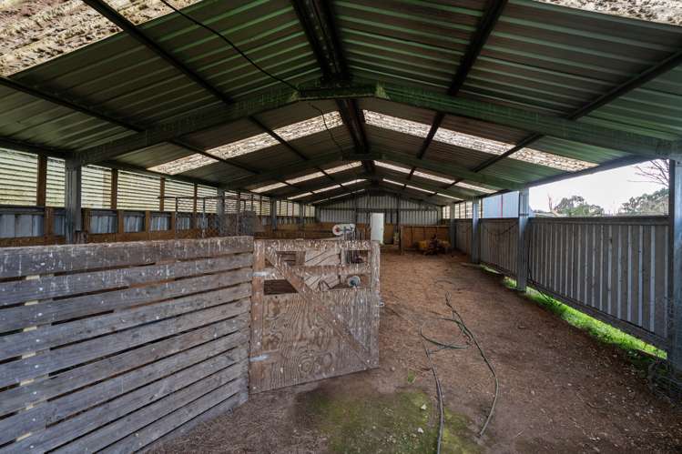 105 Hossack Road Ngakuru_15