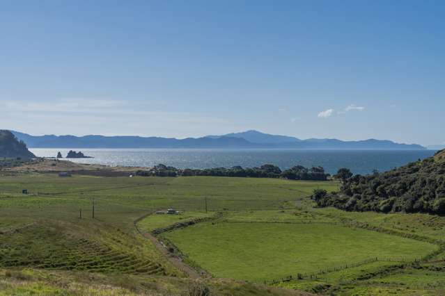 550 Black Jack Road, Opito Bay Whitianga_2