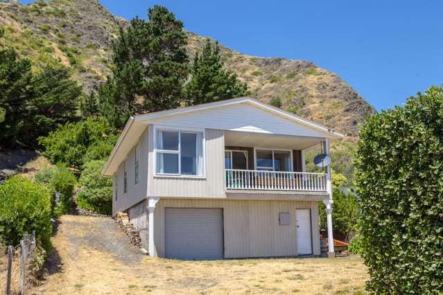 44 Seaview Avenue Cape Palliser_1