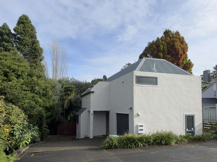 3/17 Ascot Avenue Remuera_0