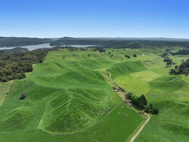 103 Rendall Road Rotoma_3