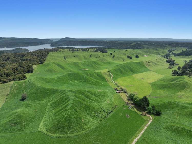 103 Rendall Road Rotoma_3