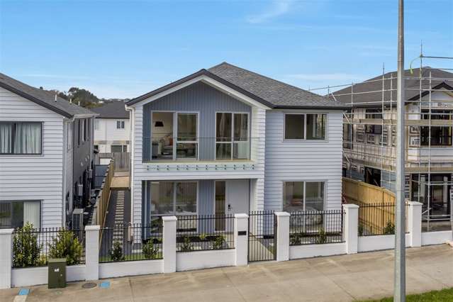 213c Murphys Road Flat Bush_2