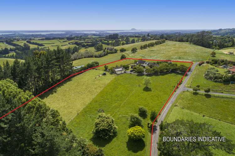 173 Tim Road Whakamarama_4