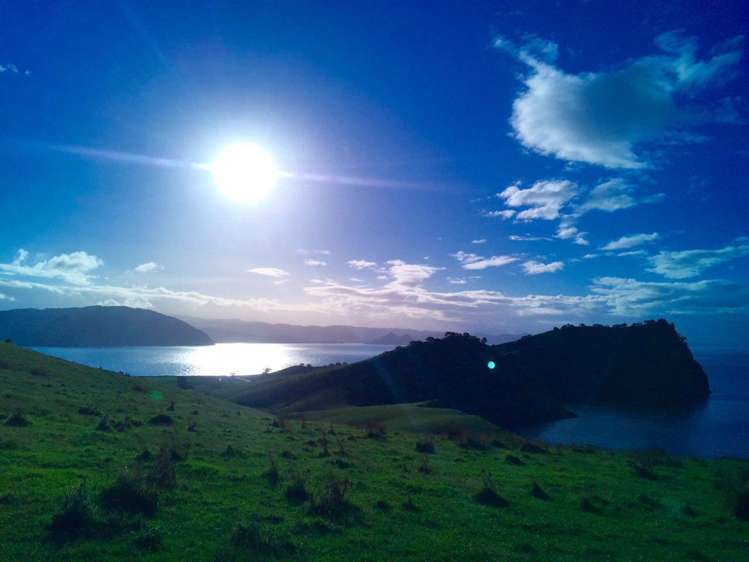 190 Pacific Ocean, Slipper Island (Whakahua) Thames_76