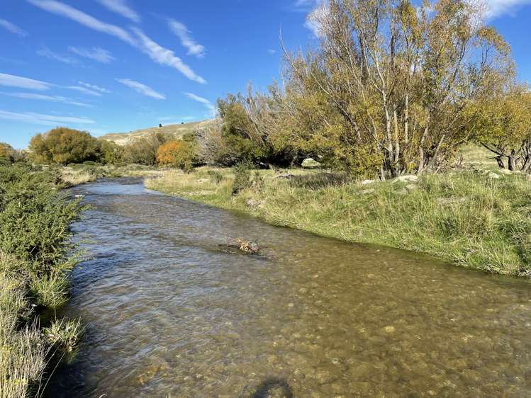 Kinney Road Chatto Creek_10