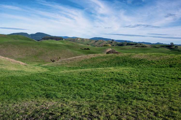 617 Dunkirk Road Atiamuri_31