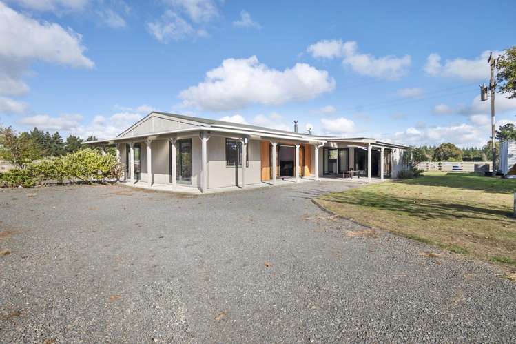 363 Brandon Hall Road Bulls_26