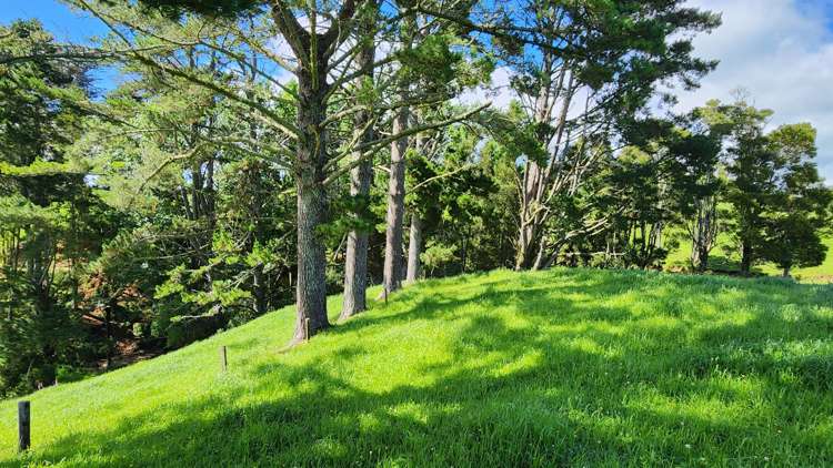 133 Kaimata Road Kaimata_15