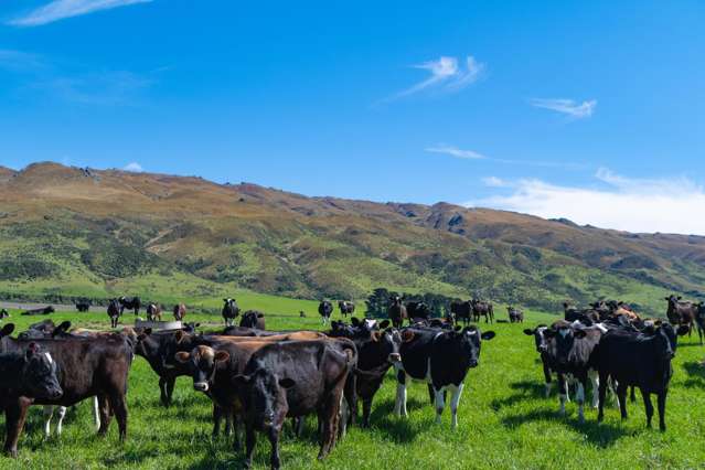 7797 Hyde-middlemarch Road Rock And Pillar_4