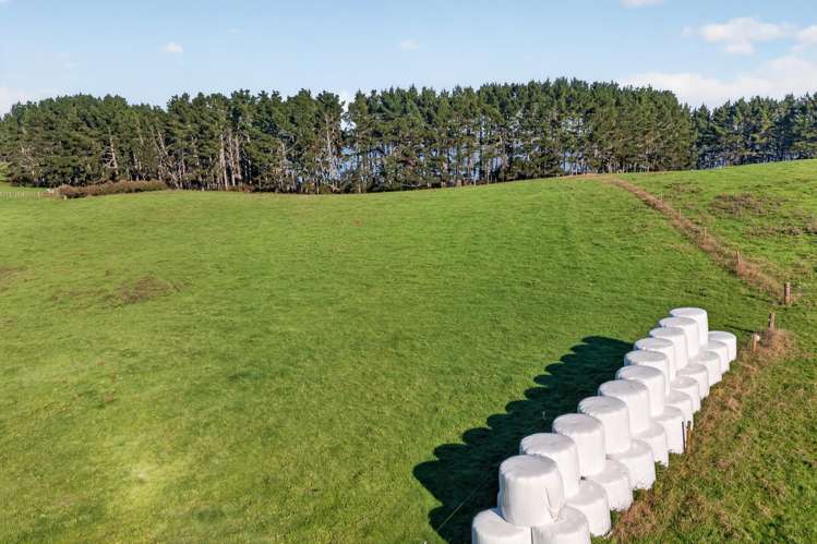 807 Te Ohaki Road Huntly_15