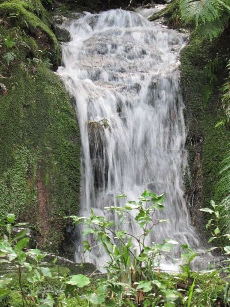 124 Victoria Street Whakatete Bay_23