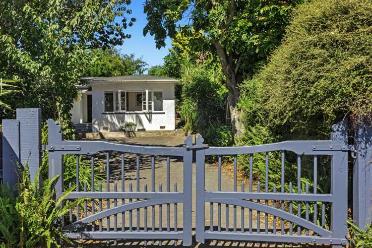 15A James Street Whakatane_1