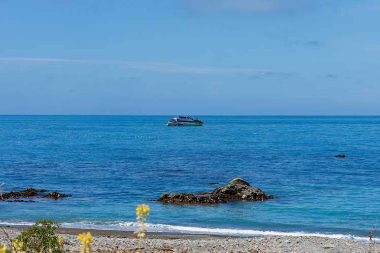10 Valley Road Kaikoura Surrounds_21