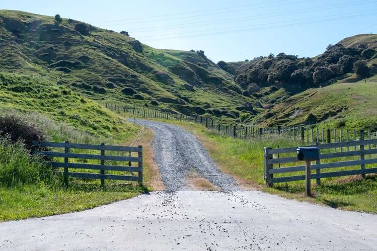 Hedgeley Road Puketapu_18