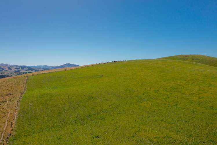 2118 Omihi Road Greta Valley_5