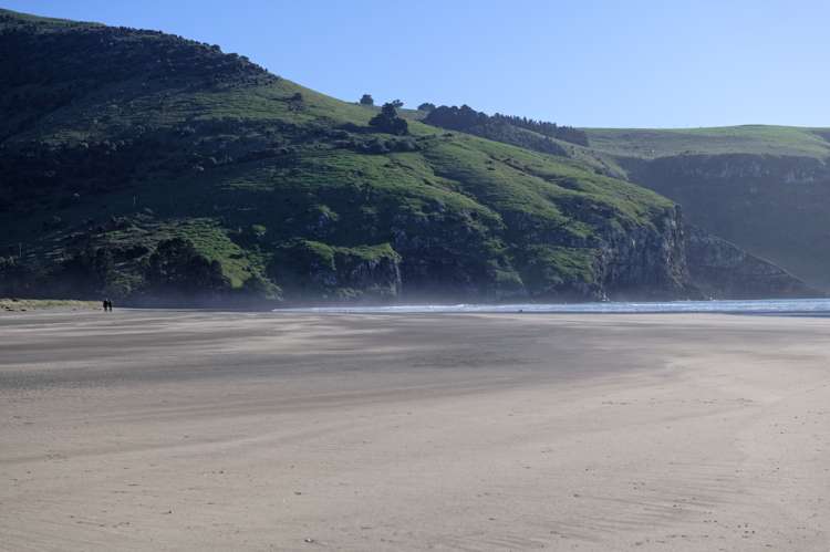 115 Dalglishs Road Le Bons Bay_19