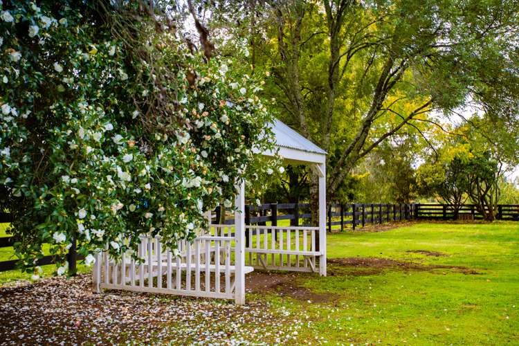 713 Gordonton Road Gordonton_5