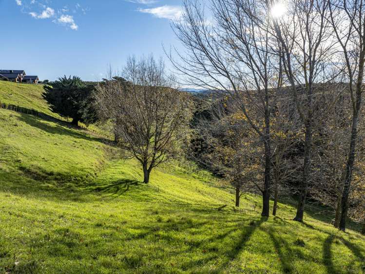 70 Pineleigh Drive_5