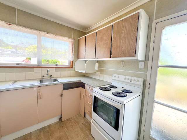 412C Willoughby Street Thames_4