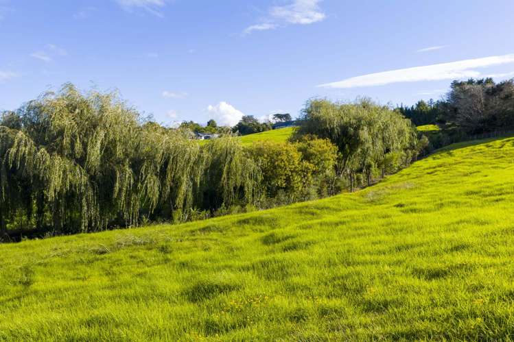 45B Finlayson Road Matarau_12