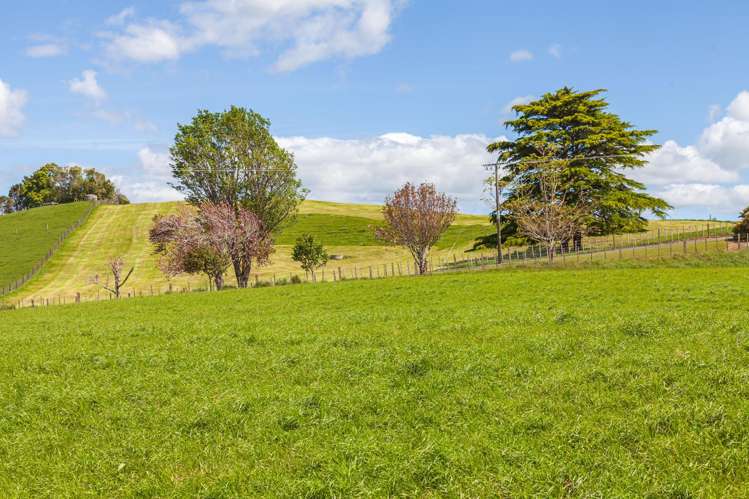 200 Gunn Road Matamata_7