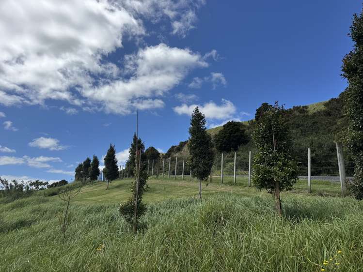 Lot 12 Waipu Caves Estate Drive Waipu_22