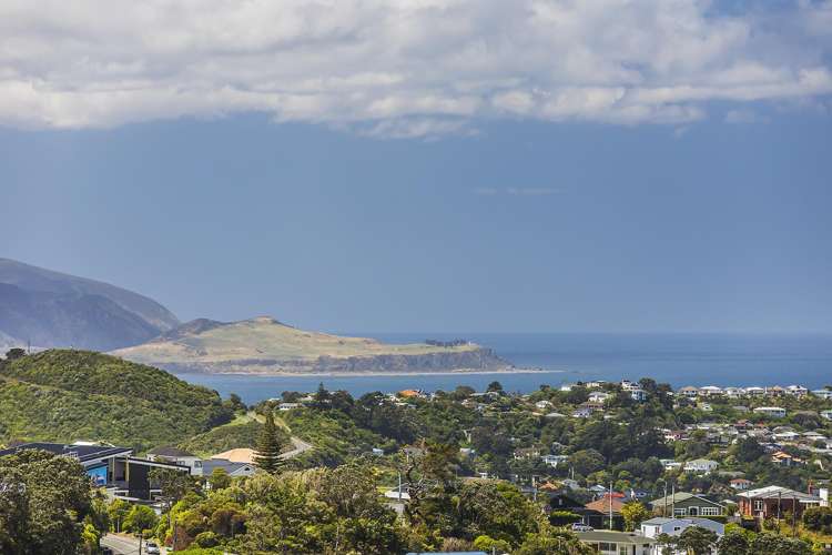 17A Virginia Grove Brooklyn_16