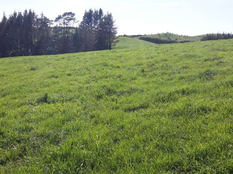 346 Rugby Road Tariki_66