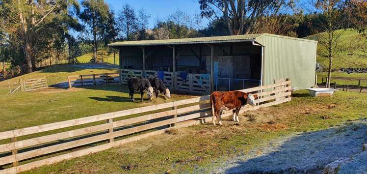 3/1171 Poihipi Road Oruanui_16