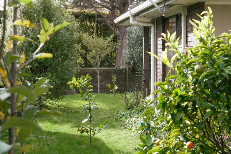 51 Park Avenue Waikanae_22