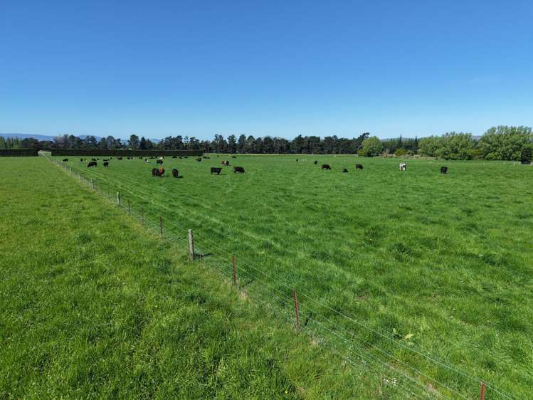 35 Maungatua Road Taieri Plain_10